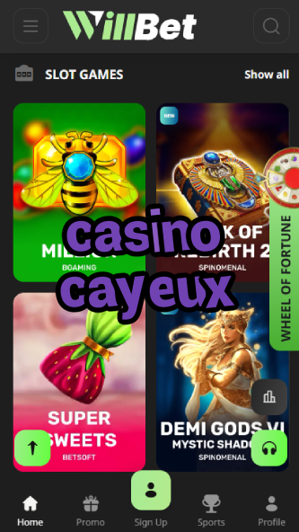 Casino Cayeux - Best French Coastal Casino-casinodogs.ydblkf.net